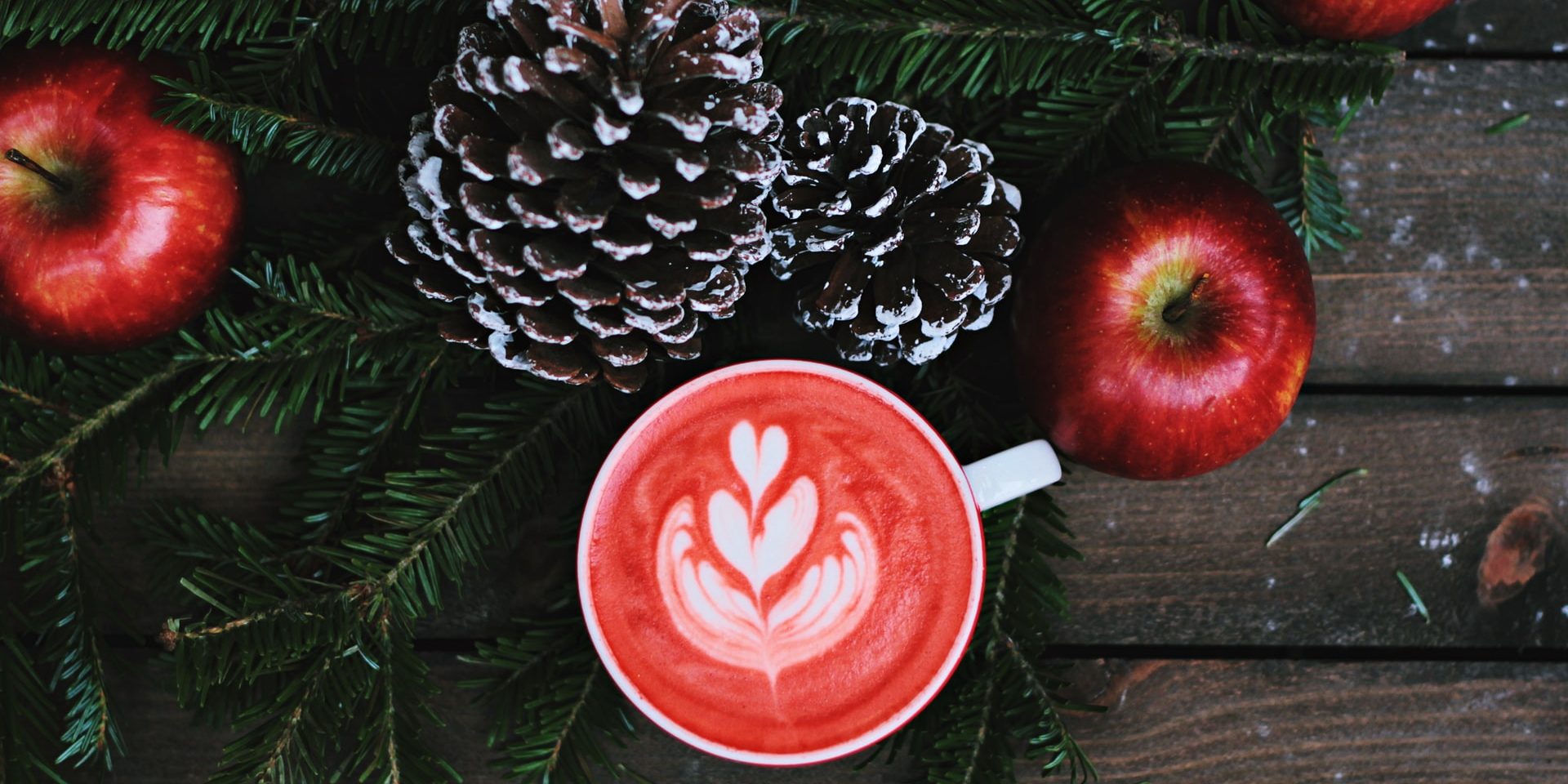 toa-heftiba-WsDF95mSUsI-unsplash