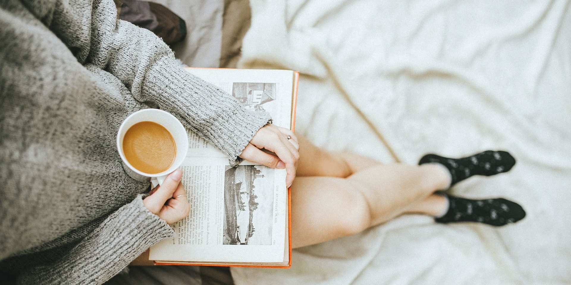 anthony-tran-8i2fHtStfxk-unsplash